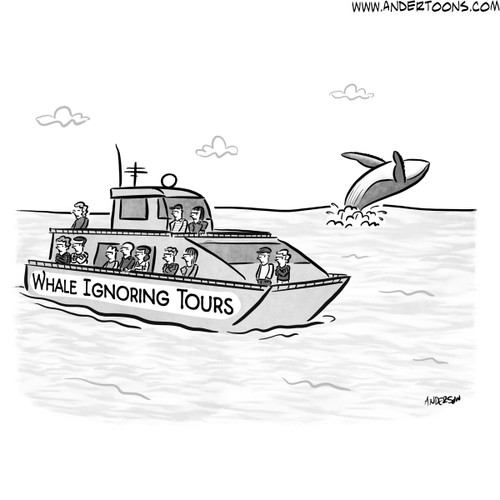 whale ignoring tours cartoon